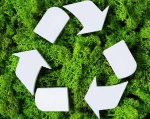 Experto en Gestión  Medioambiental