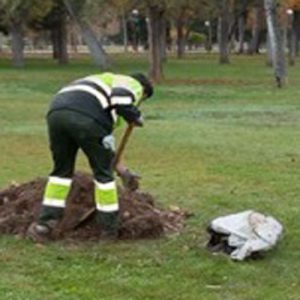 Operario de Jardinería